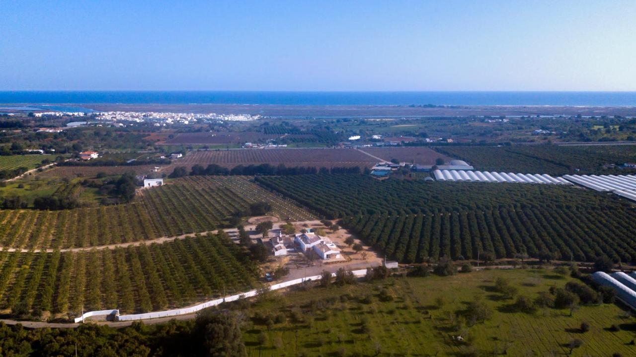 Quinta Da Pintassilga Villa Tavira Kültér fotó