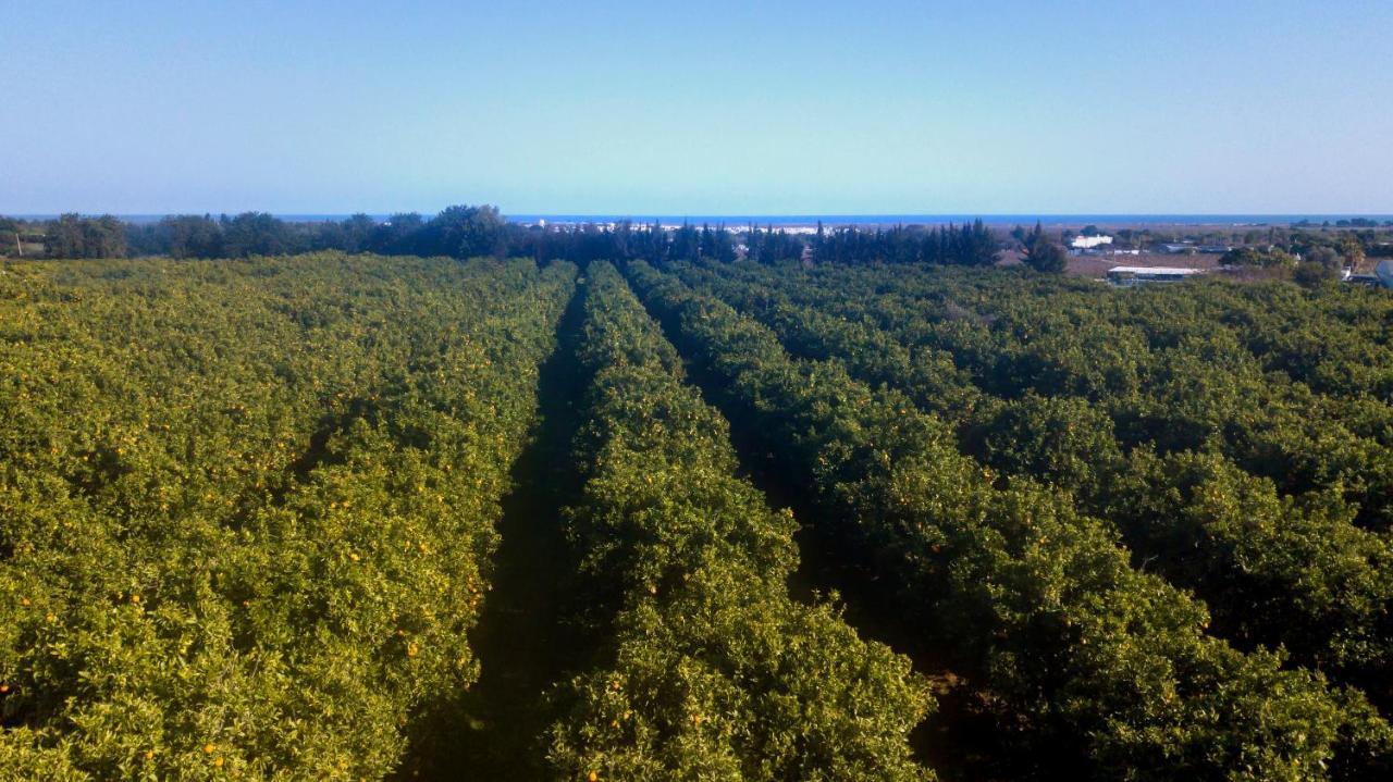 Quinta Da Pintassilga Villa Tavira Kültér fotó